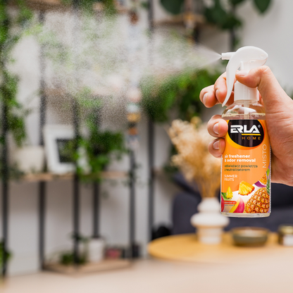 Erla Home Misto Fruits - Air Freshener & Odor Neutralizer 250ml